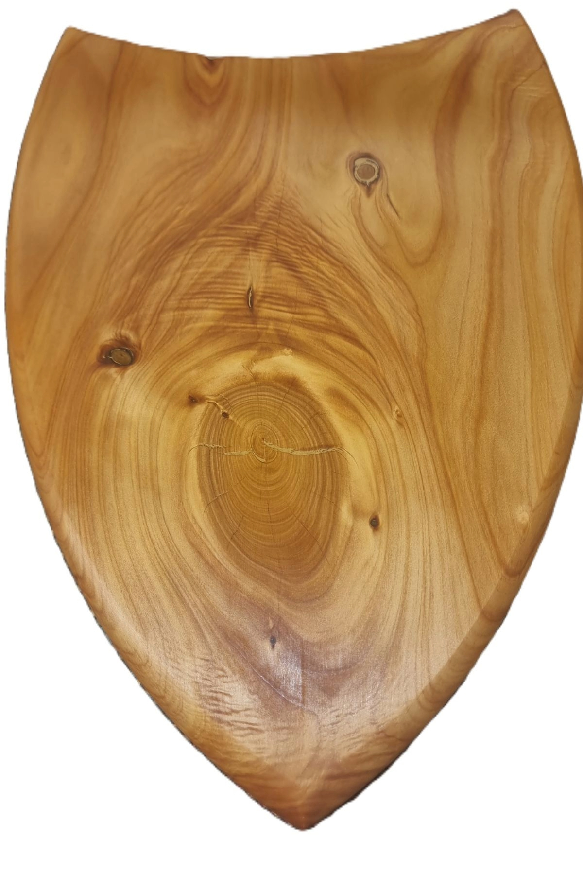 Mounting Sheild